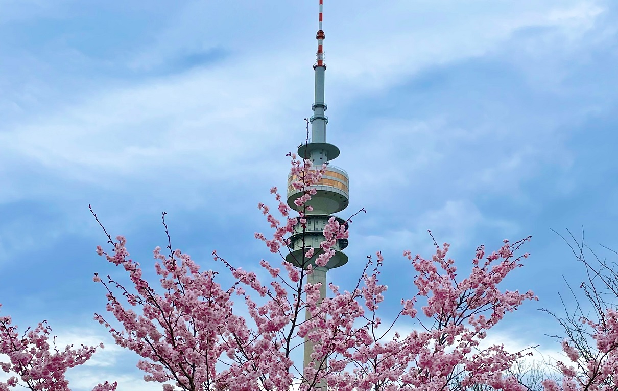 Gallery image Nr. 13